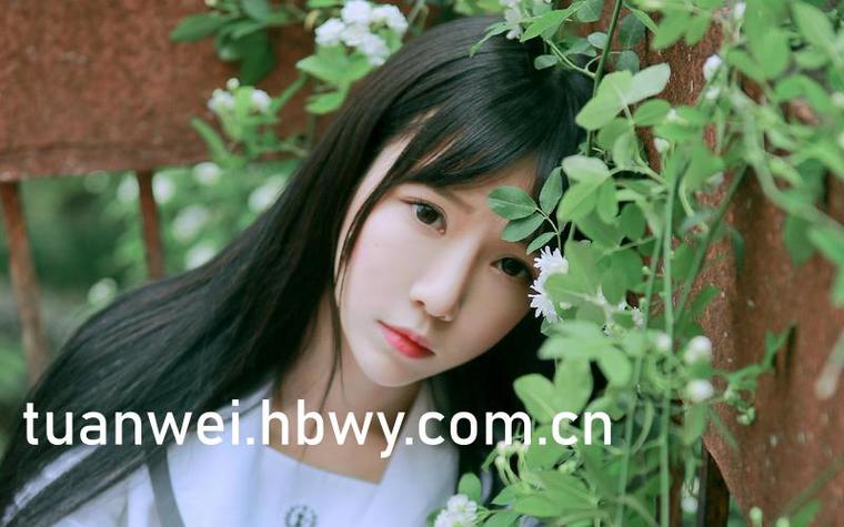 cupfox努力让电影变简单