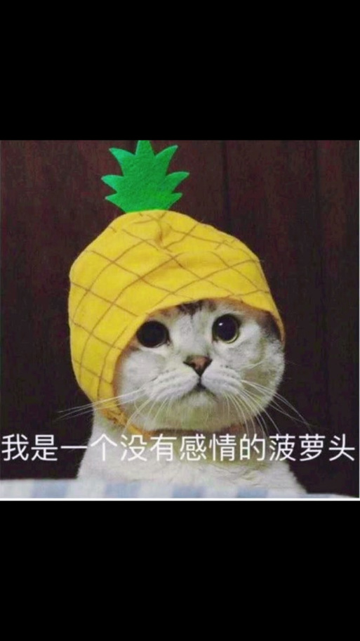 菠萝表情包图标