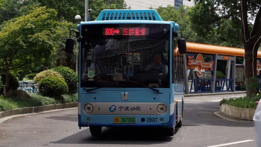 宁波公交806路全程路线图