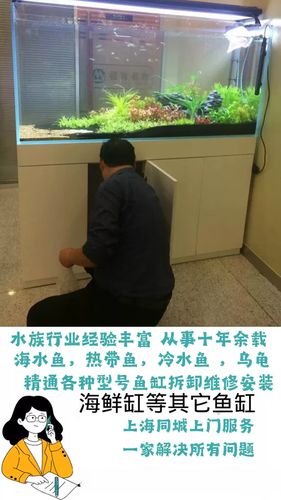 鱼缸维修上门服务