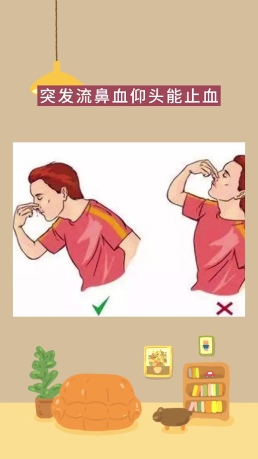 快速制鼻血的方法缩略图