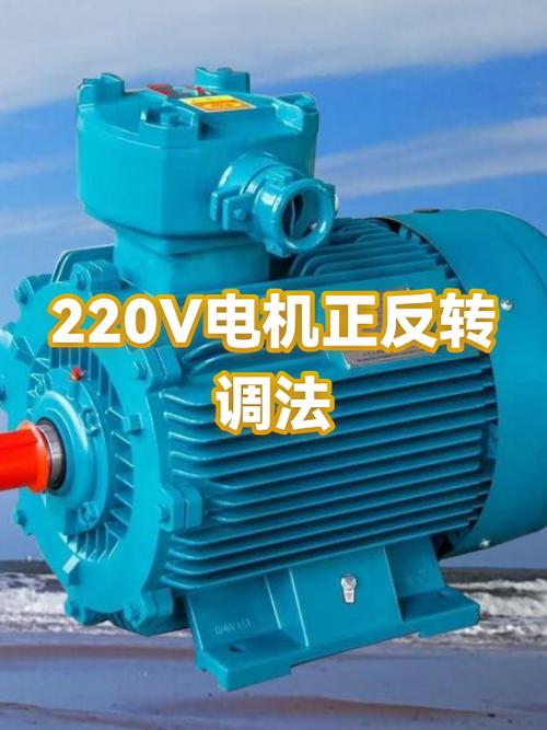 220v电机反转怎么调
