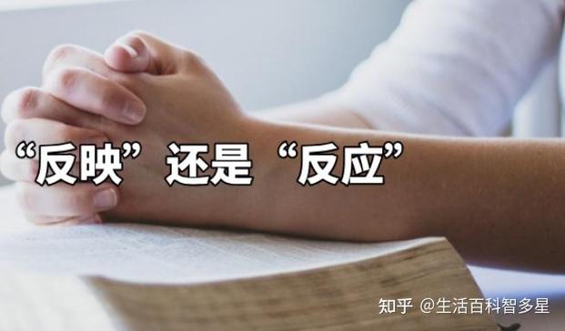 反映意思