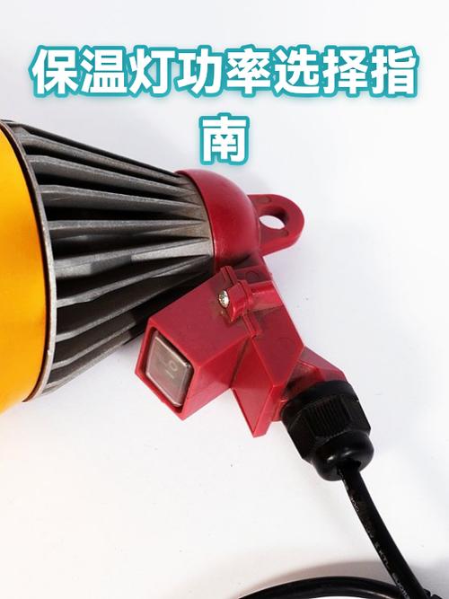 75w保温灯可以一直开着吗?截图