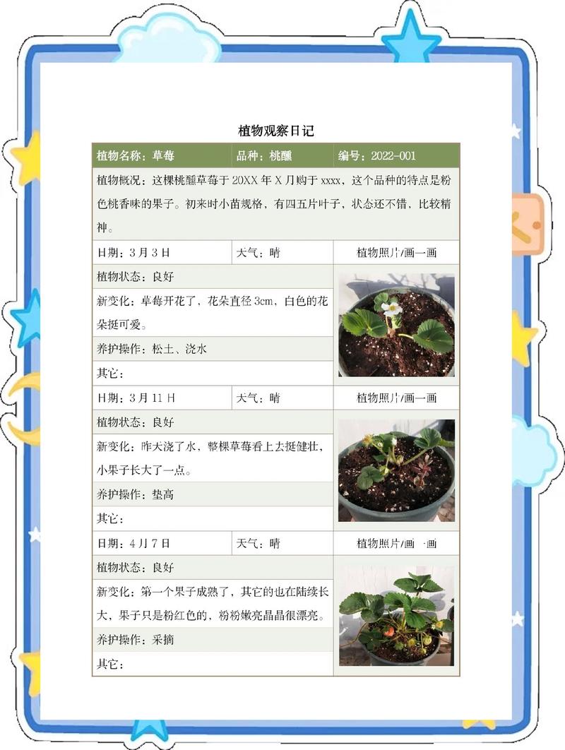 观察者植物人重启系统最新版本更新