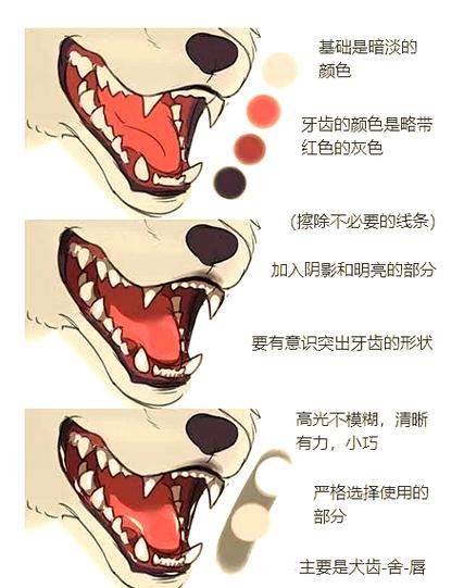 狼的介绍和特点缩略图