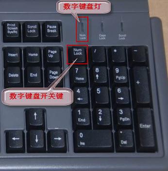 键盘上字母键出数字怎么办