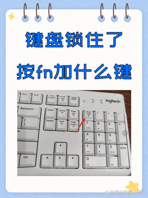 键盘wasd锁住了怎么办