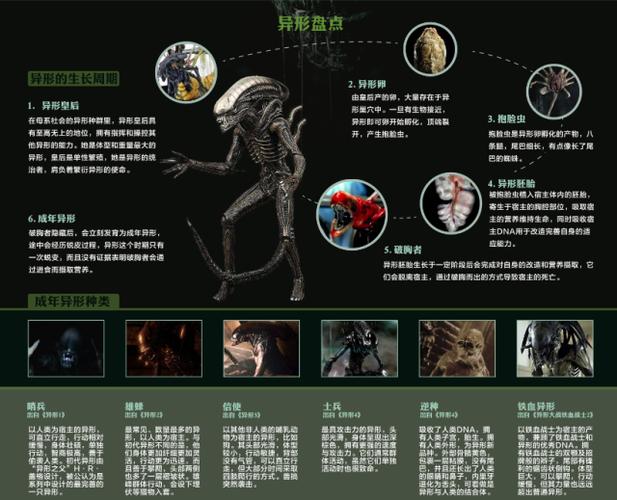 所有种类异形图解缩略图