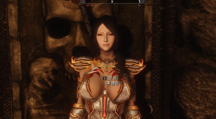 莱迪亚代码