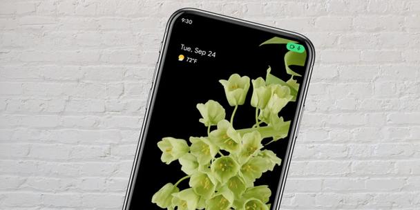 手机上绿点什么意思
