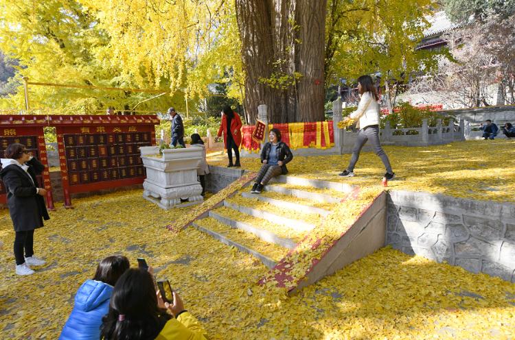 潭柘寺十大金句