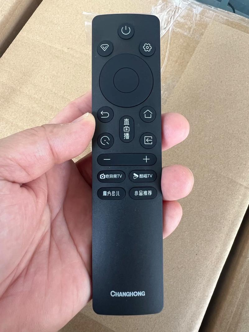 长虹电视遥控器下载手机版游戏截图