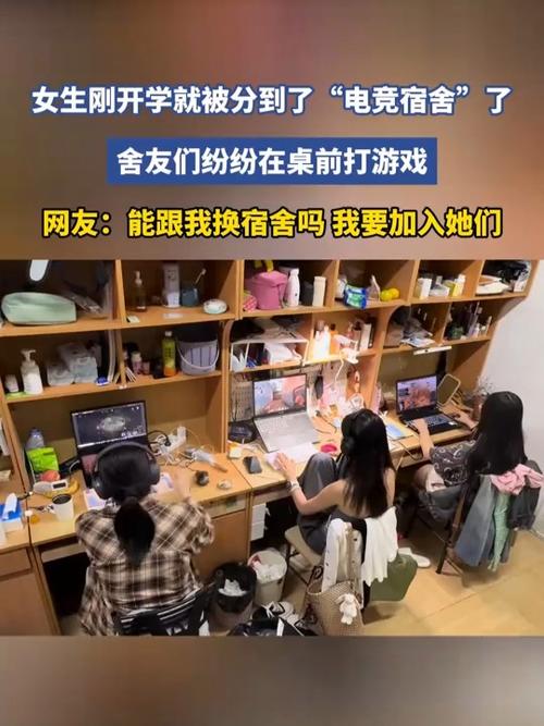 我的室友游戏