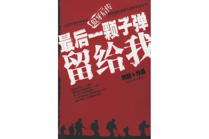 最后一颗子弹留给我小说全部