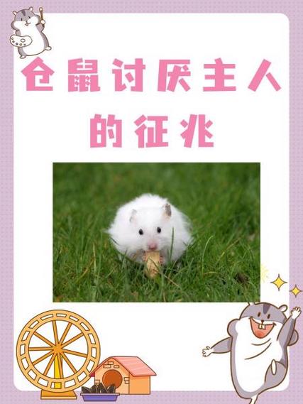 仓鼠死了会怨恨主人吗图标