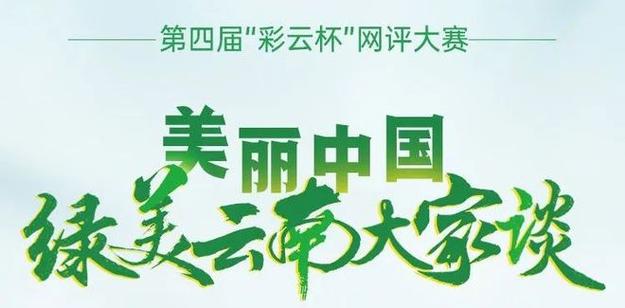第四届彩云杯大赛截图
