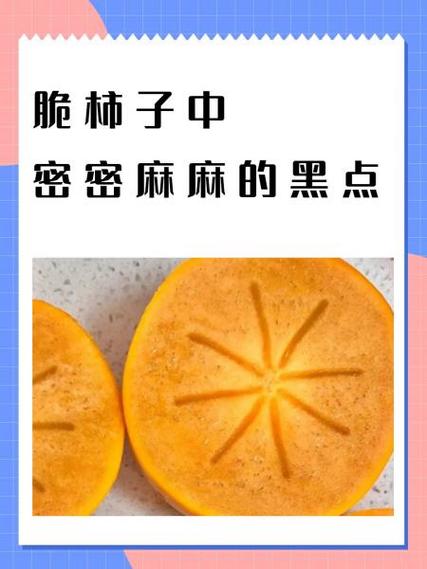 脆柿子为什么会有紫点