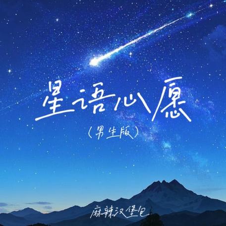 心语星愿男生版歌曲