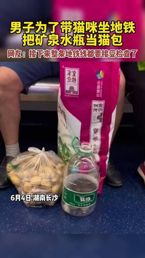 地铁可以带猫吗,放包里