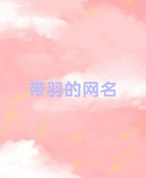 羽球人网名谐音梗