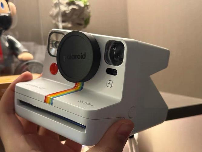 Polaroid Now+使用教程