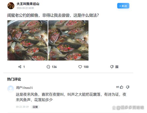 钓鱼神评论大全