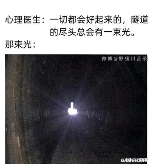 避难所吧