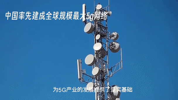 5G大网站