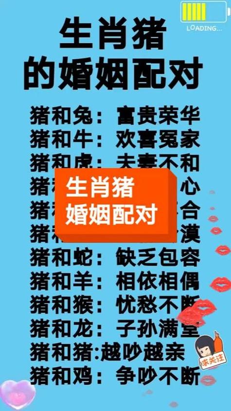 95年属猪最佳婚配属相游戏截图
