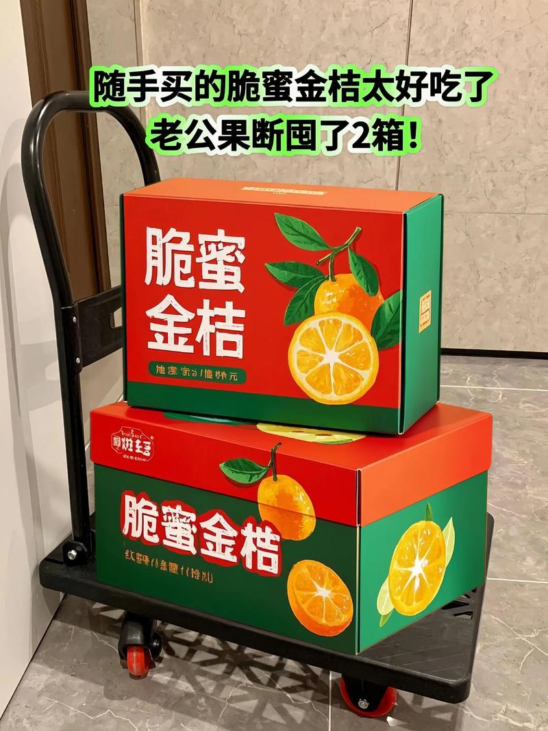小橘子直装免卡密缩略图