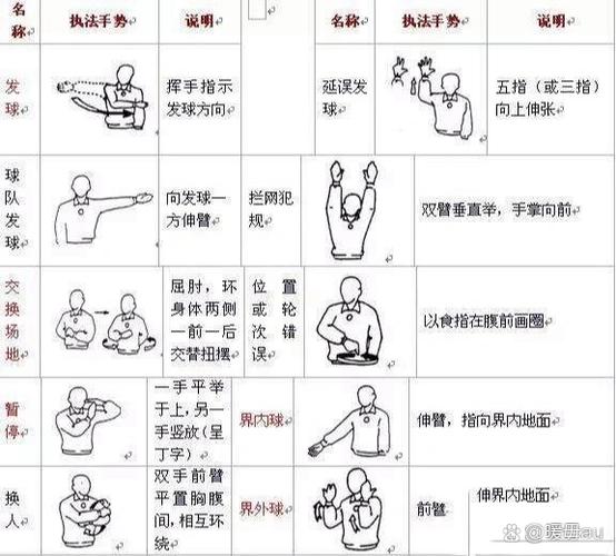 国家一级排球裁判的报名条件图标