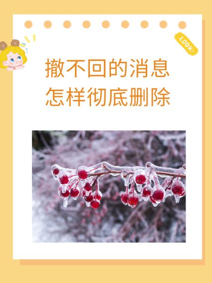 如何处理撤不回的视频