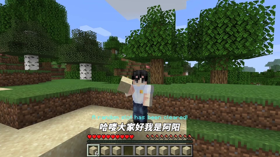 我的世界阿阳解说生存日记