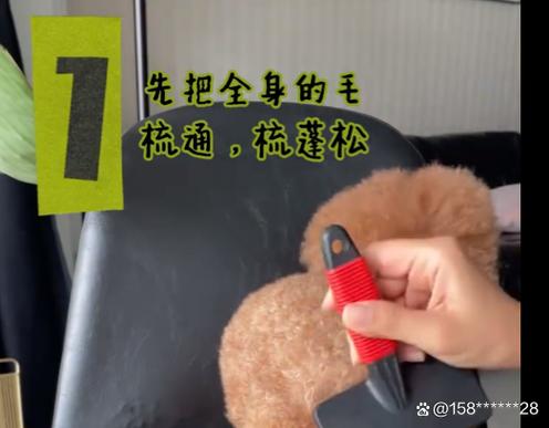 宠物剪毛教程