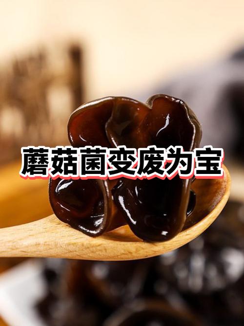 蘑菇菌种怎么才能长出蘑菇缩略图