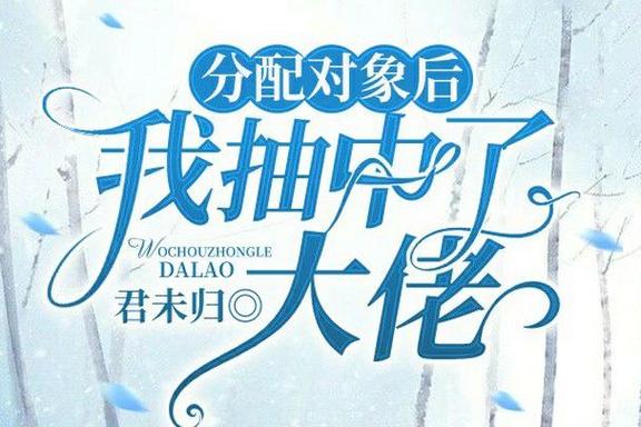 分配对象后,我抽中了大佬