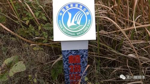 淅川要再次搬迁吗