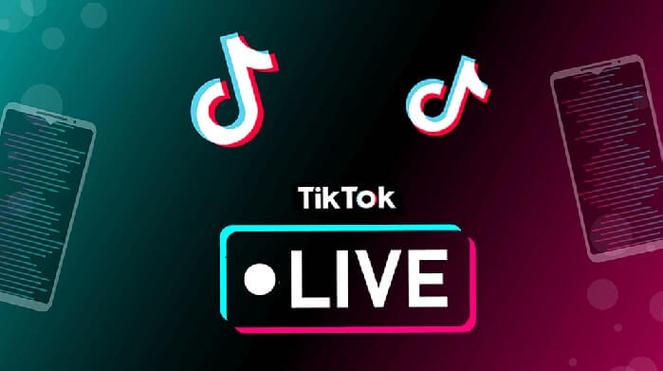 tiktok在线解析