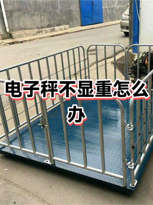 电子秤不显示重量怎么解决