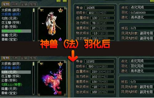 问道普通宠物变异有什么用