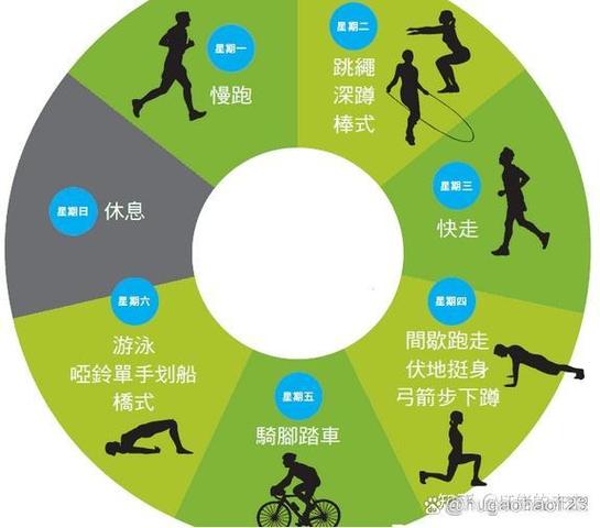 运动方式有哪些截图