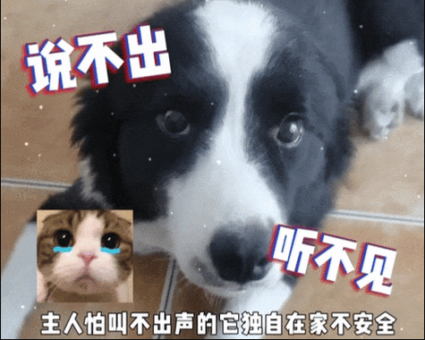 只做你的小狗ADby限时偶遇
