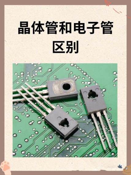 晶体管和二极管的区别图标
