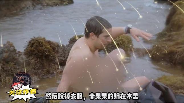 纪录片《丁丁》在线看