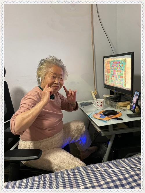 静音奶奶1到100集全集