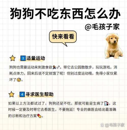 狗太懒了怎么办