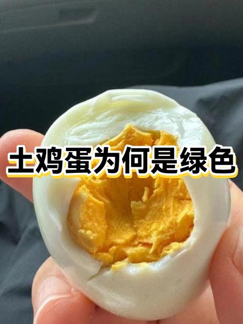 绿壳蛋好还是土鸡蛋好缩略图