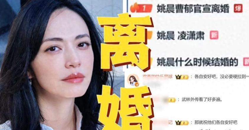 文章姚晨什么关系