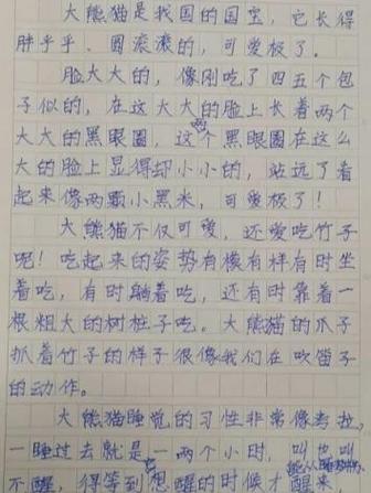 熊猫吃东西的形容词